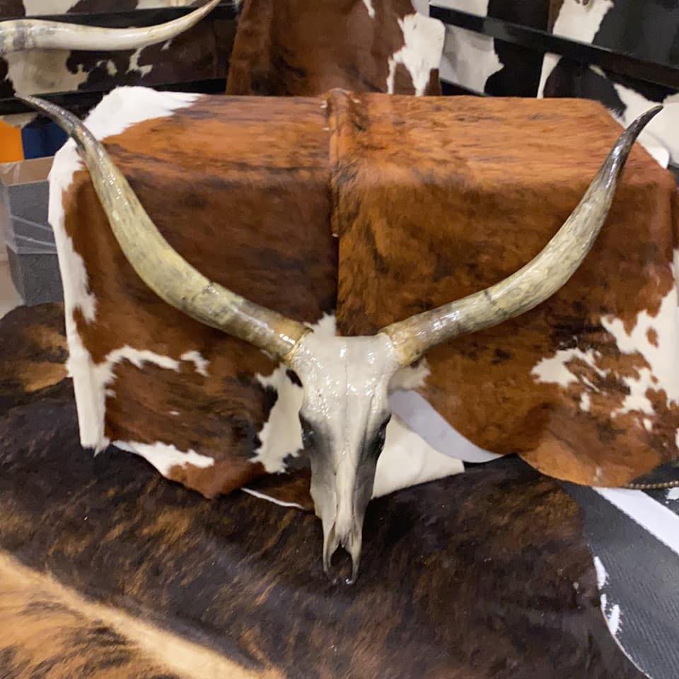 Crazy Bull Longhorn Skulls LLC.